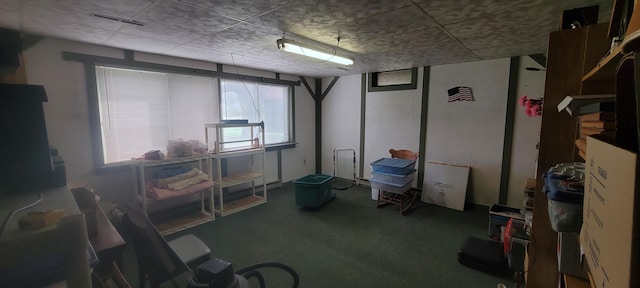 4131 W Meisenheimer Rd, Ludington, MI 49431 - misc room featuring carpet
