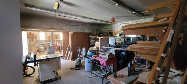 4131 W Meisenheimer Rd, Ludington, MI 49431 - view of garage