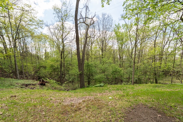 view of tree filled area