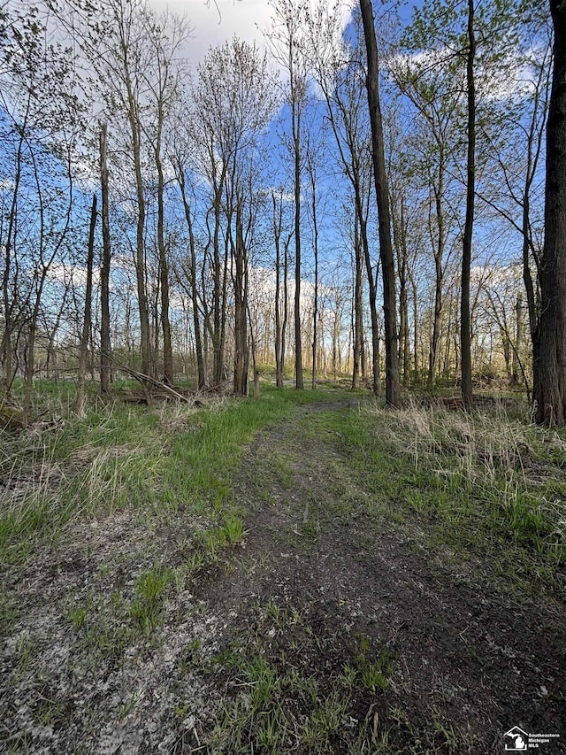 4635 Laplaisance Rd, La Salle, MI 48145 - photo 36