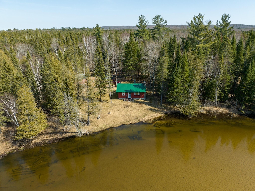 12447 Cold River Dr SE, Fife Lake, MI 49633 - view from above of property with a heavily wooded area