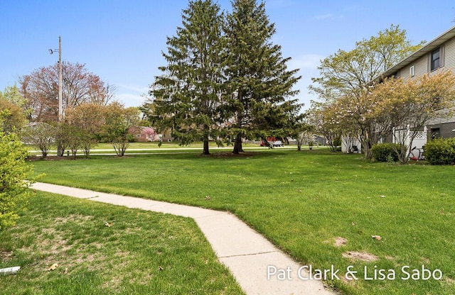 view of green lawn