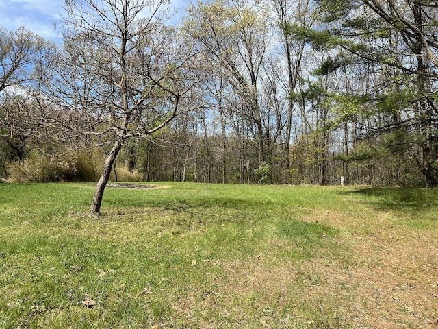 view of yard featuring a view of trees