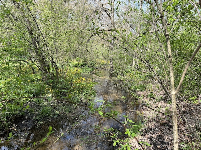 view of tree filled area
