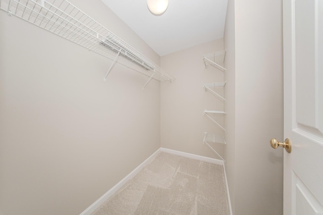 spacious closet with light carpet