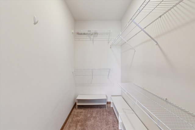 spacious closet with carpet flooring