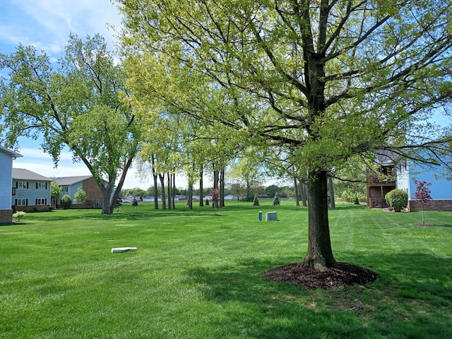 view of grassy yard