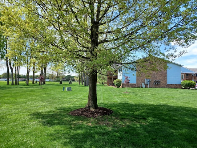 view of green lawn
