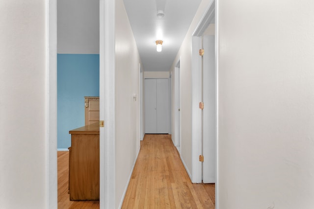 29458 Walker Dr, Warren, MI 48092 - hallway featuring light wood-style flooring and baseboards