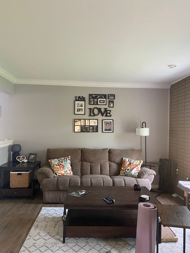 living room with wood finished floors and ornamental molding