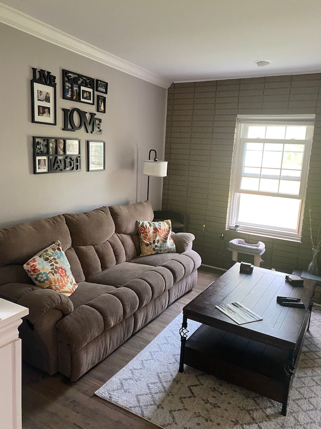 living area featuring wood finished floors and crown molding