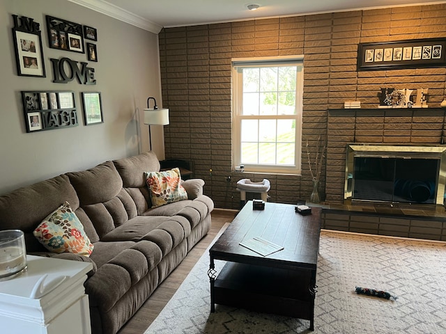 living room featuring ornamental molding, a fireplace, and wood finished floors