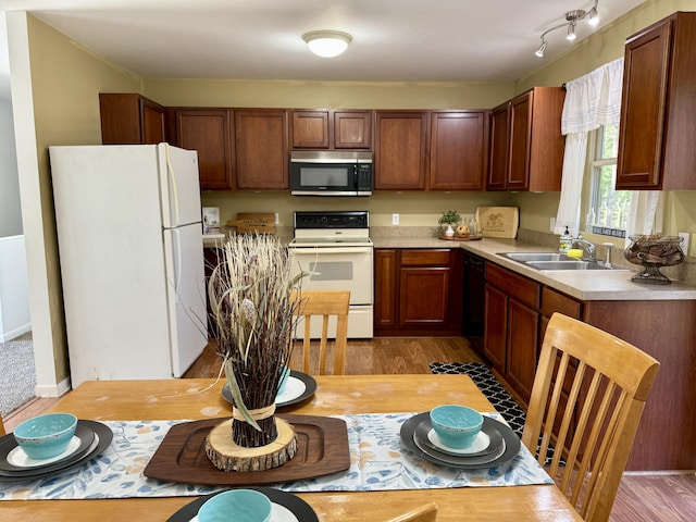 kitchen featuring white appliances, a sink, light wood-style floors, and light countertops