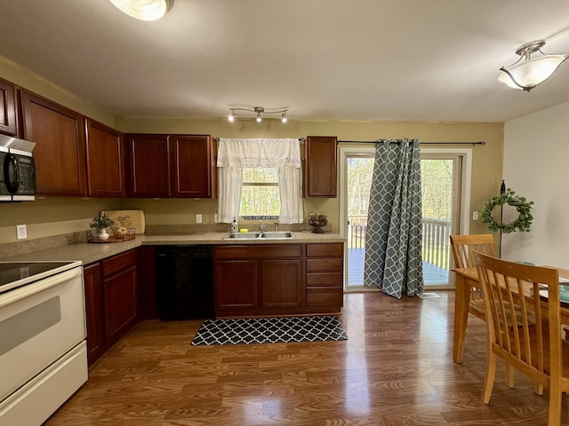 kitchen featuring black dishwasher, electric stove, a sink, dark wood-type flooring, and plenty of natural light