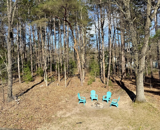view of yard with an outdoor fire pit