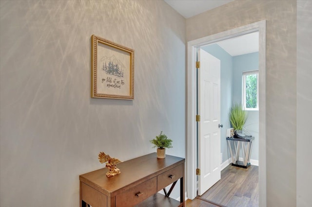 4661 Christopher Pines Dr, Clarkston, MI 48346 - hall featuring wood finished floors and baseboards