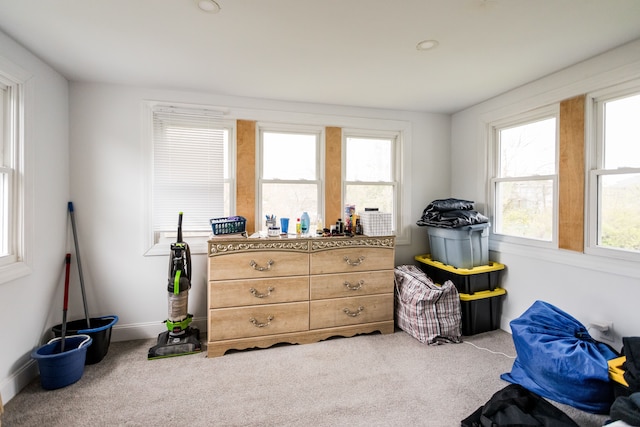 219 Waverly St, Highland Park, MI 48203 - bedroom featuring multiple windows, carpet, and baseboards