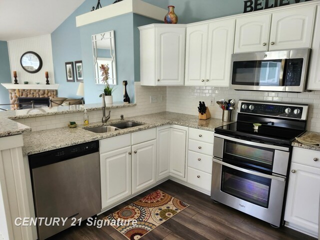 kitchen featuring stainless steel appliances, a sink, lofted ceiling, dark wood-style flooring, and backsplash