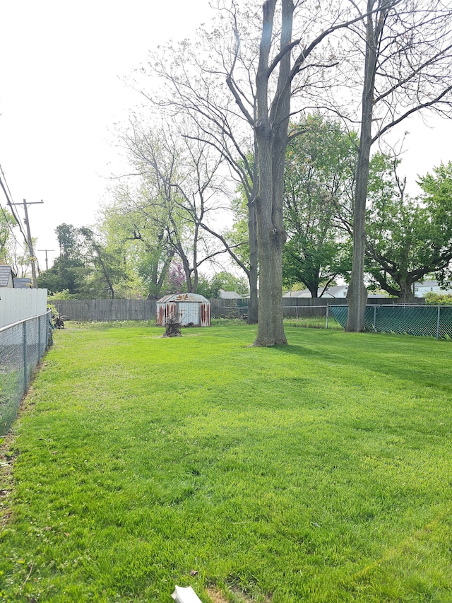 view of yard with a storage unit and an outdoor structure