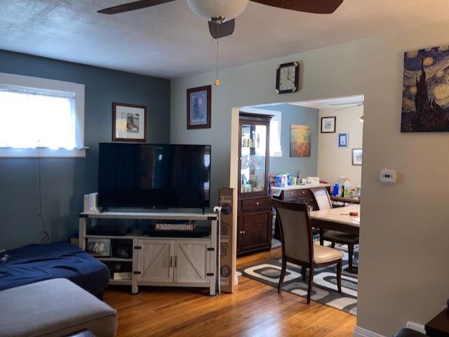 living area featuring ceiling fan and wood finished floors