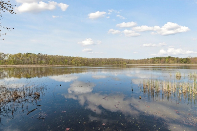 water view with a heavily wooded area