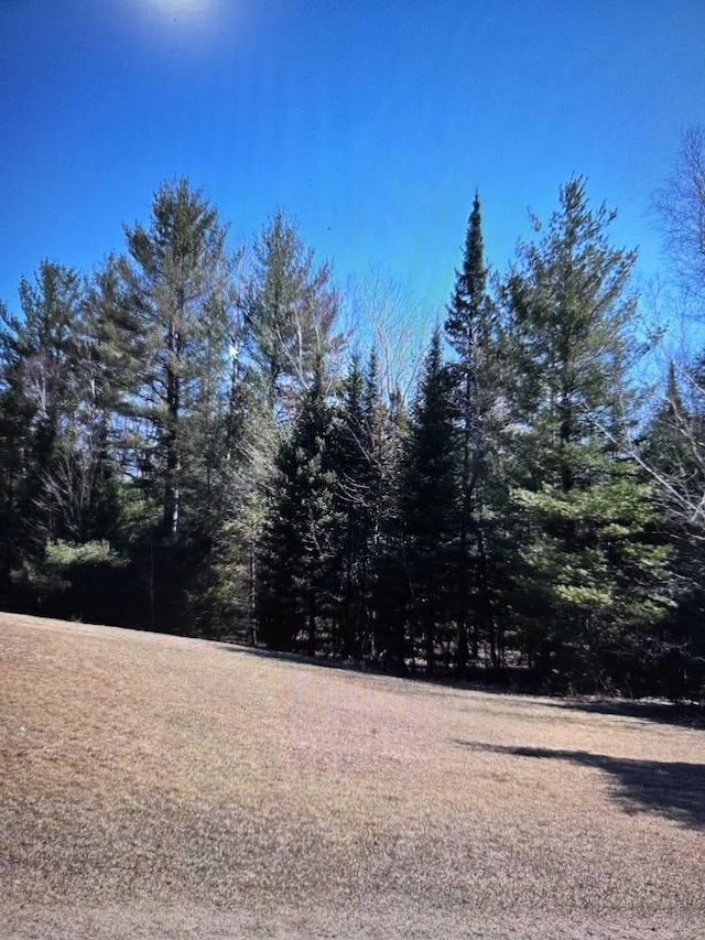 4151 Fraser Rd, Glennie, MI 48737 - photo 7