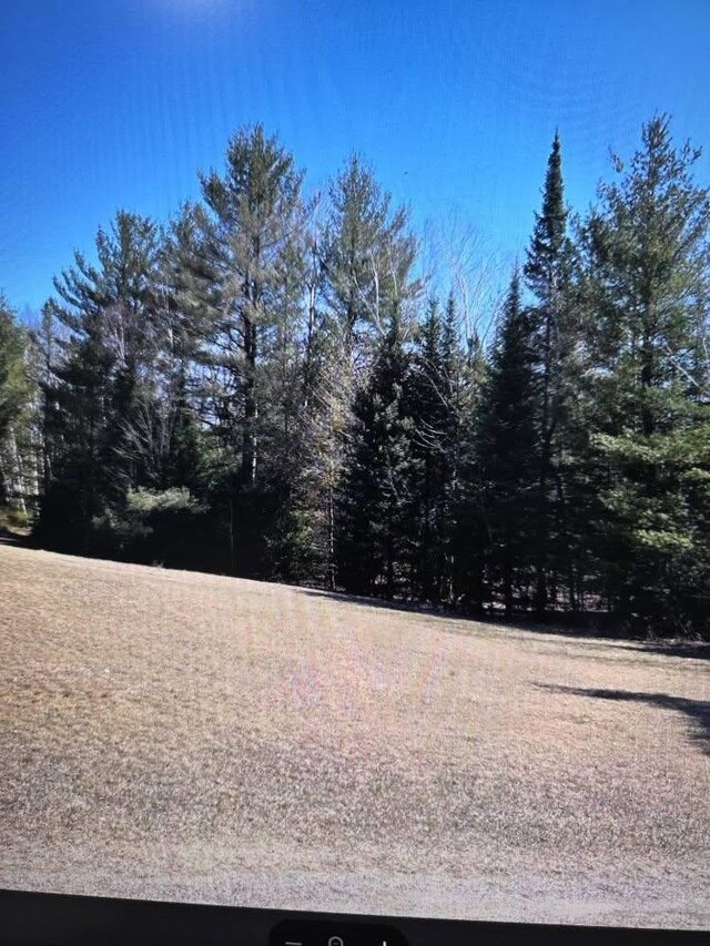 4151 Fraser Rd, Glennie, MI 48737 - photo 9
