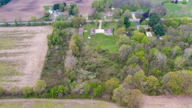 15105 Carpenter Rd, Three Oaks, MI 49128 - aerial view of property's location featuring rural landscape