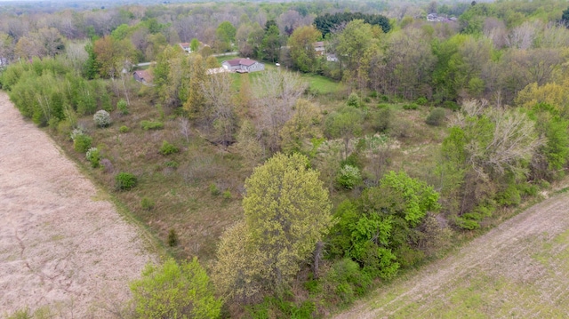 15105 Carpenter Rd, Three Oaks, MI 49128 - bird's eye view