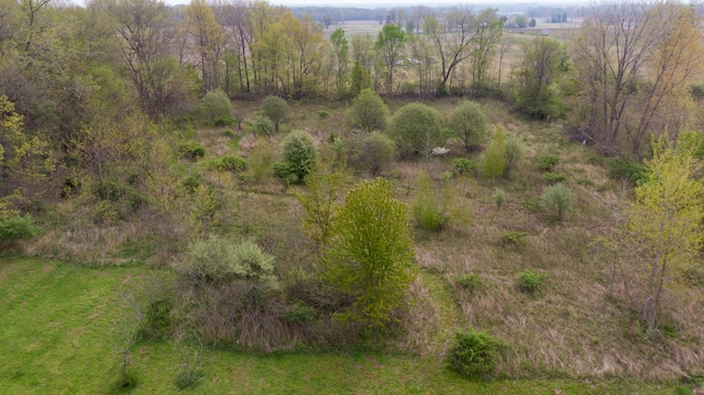15105 Carpenter Rd, Three Oaks, MI 49128 - drone / aerial view