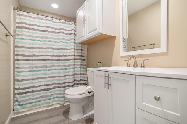 10420 Roger St, Portage, MI 49002 - bathroom with wood finished floors, toilet, vanity, and a shower with curtain