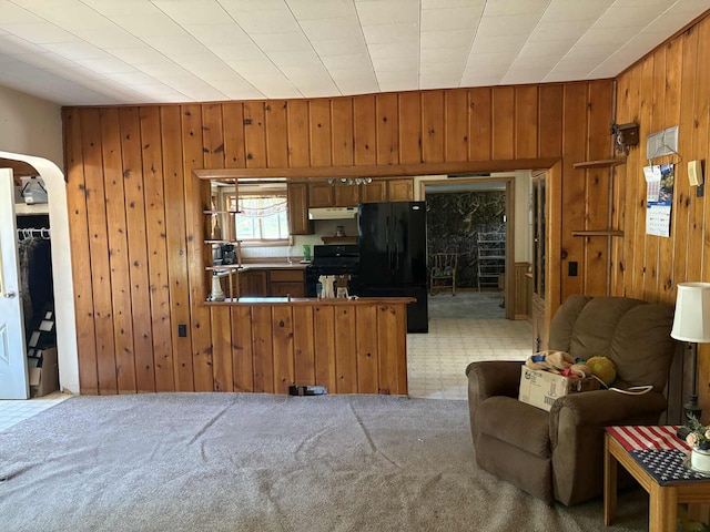 400 E Michigan Ave, Hesperia, MI 49421 - living area featuring wood walls, arched walkways, and light colored carpet