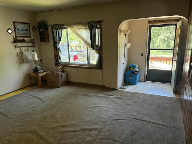 400 E Michigan Ave, Hesperia, MI 49421 - entrance foyer featuring plenty of natural light, arched walkways, and carpet flooring