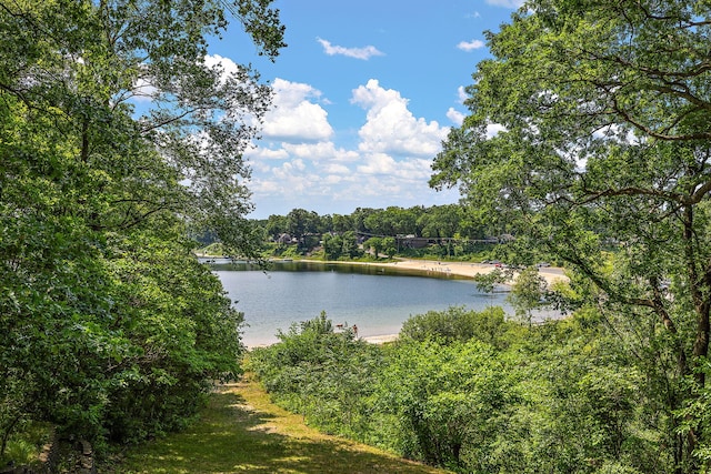 5657 Harding Ave, Muskegon, MI 49442 - water view featuring a heavily wooded area