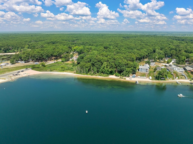 5657 Harding Ave, Muskegon, MI 49442 - drone / aerial view of a heavily wooded area and a nearby body of water