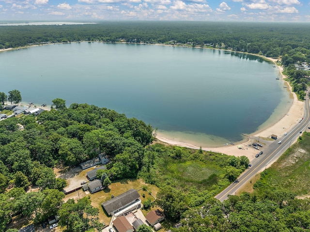 5657 Harding Ave, Muskegon, MI 49442 - bird's eye view of a heavily wooded area and a nearby body of water