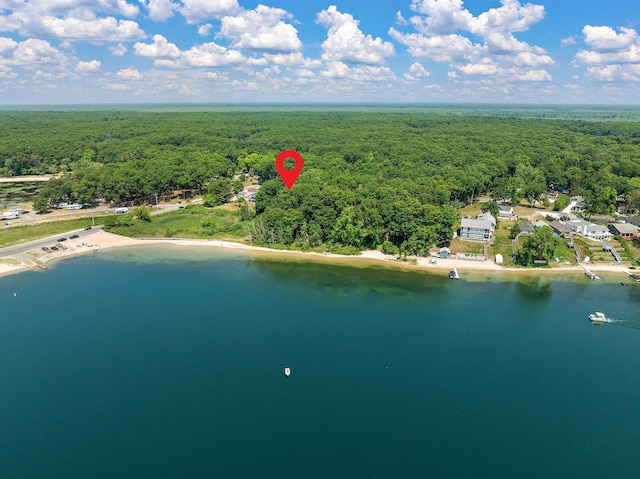 5657 Harding Ave, Muskegon, MI 49442 - drone / aerial view of a heavily wooded area and a large body of water