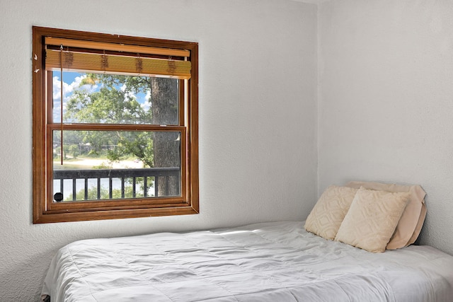 5657 Harding Ave, Muskegon, MI 49442 - bedroom with multiple windows and a textured wall