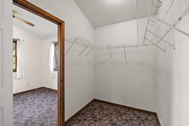 5657 Harding Ave, Muskegon, MI 49442 - spacious closet featuring dark carpet, lofted ceiling, and ceiling fan