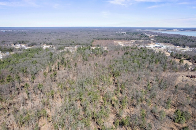 aerial view of property's location featuring a large body of water and a forest