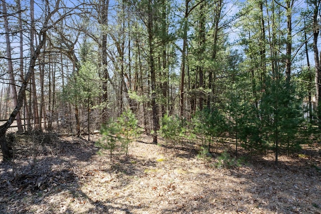 view of undeveloped land