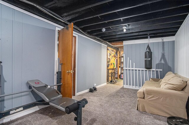 workout area featuring carpet floors