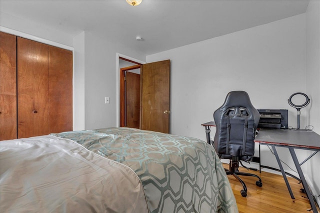 18579 Jeanette St, Southfield, MI 48075 - bedroom featuring wood finished floors and a closet