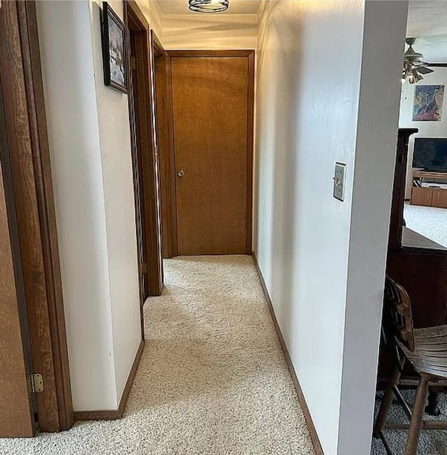 31915 M 60, Leonidas, MI 49066 - corridor with light carpet and baseboards