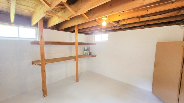 basement featuring concrete block wall
