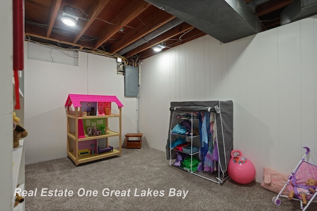 1416 Airfield Ln, Midland, MI 48642 - recreation room with electric panel and carpet floors
