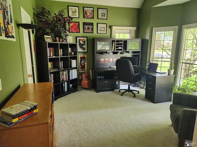 912 Kings Park Rd, Monroe, MI 48161 - view of carpeted office