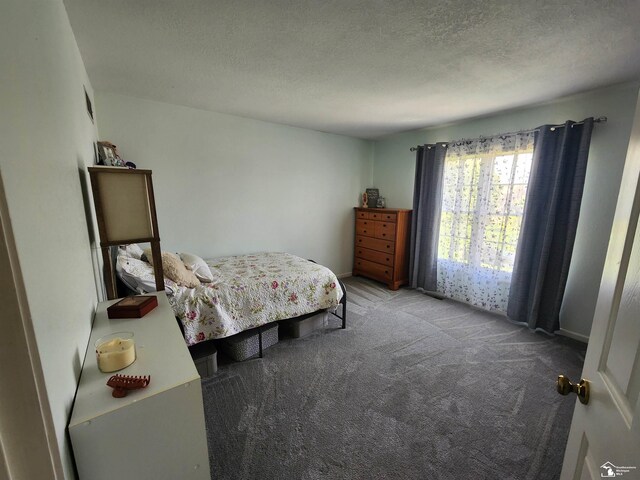 912 Kings Park Rd, Monroe, MI 48161 - bedroom with carpet, a textured ceiling, and baseboards