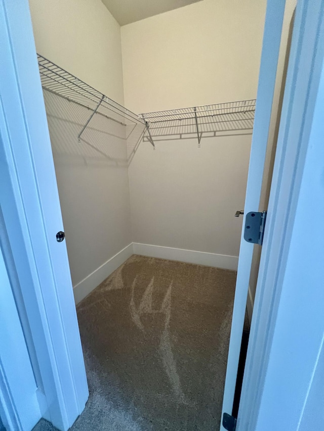20846 Farrier Pl, Northville, MI 48167 - walk in closet featuring carpet