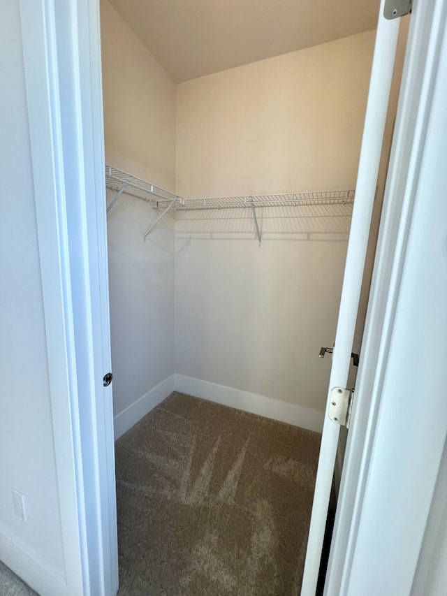 20846 Farrier Pl, Northville, MI 48167 - spacious closet with dark carpet